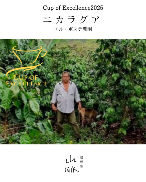 【Cup of Excellence受賞】ニカラグア　－エル・ポステ農園－